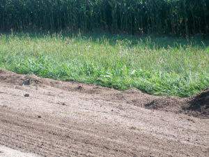 weepholes02 940width