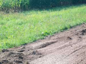 weepholes03 940width